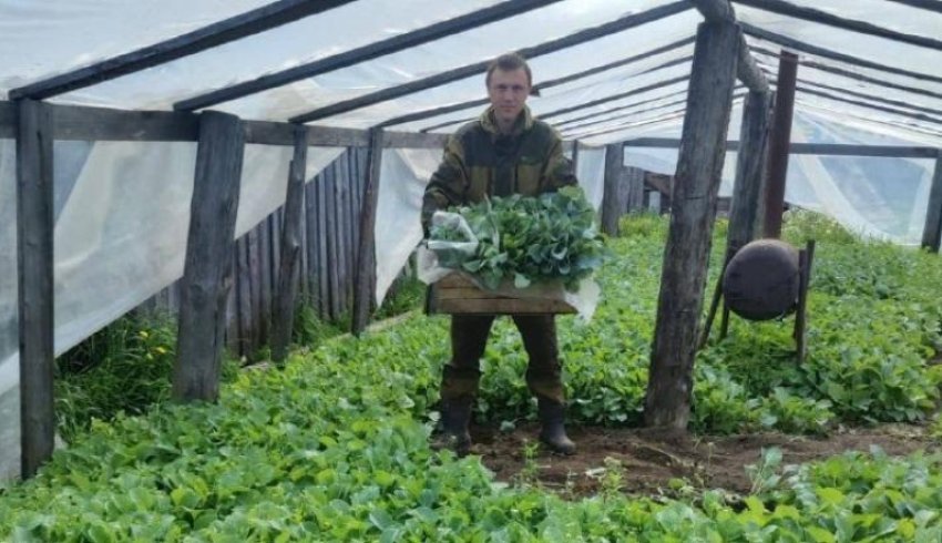 В Шенкурском округе грант «Агростартап» помогает фермеру развивать хозяйство