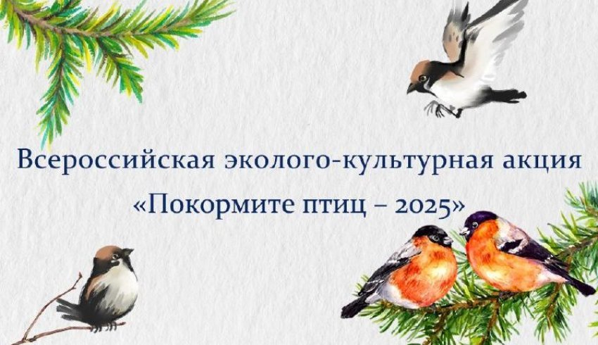 В Архангельской области стартовала ежегодная эколого-культурная акция «Покормите птиц»