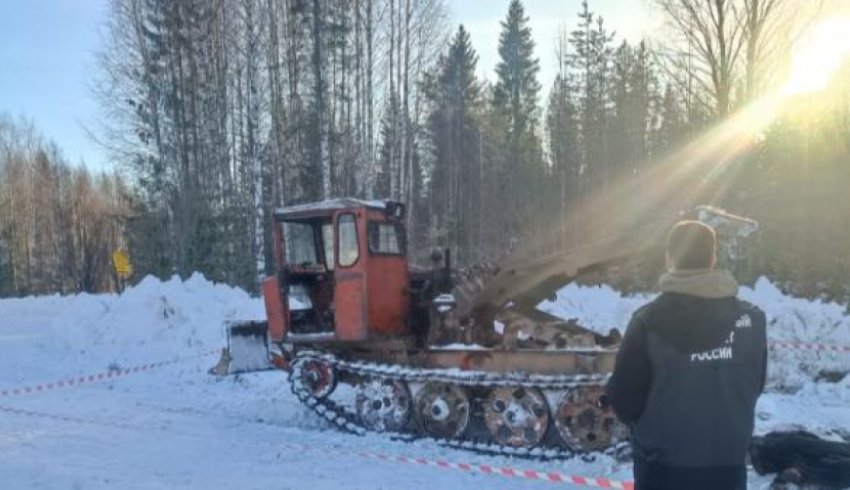 Тракториста придавило насмерть на лесной делянке в Архангельской области