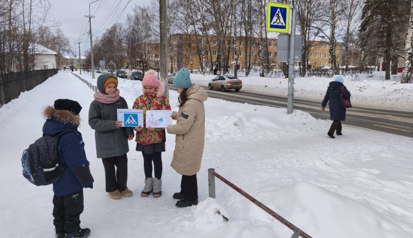 В Поморье более двух тысяч человек приняли участие в областной акции «Безопасный переход»