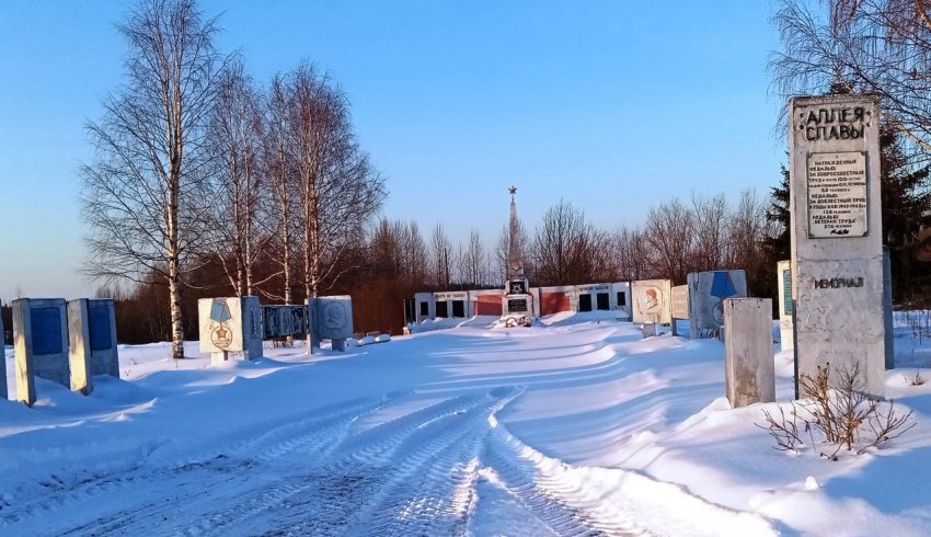 В рамках проекта «Комфортное Поморье» в Пинежском округе будет поддержано 14 инициатив