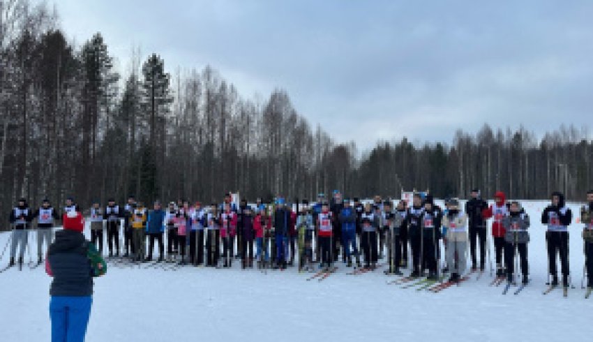 В САФУ прошли чемпионат и лично-командное первенство по лыжным гонкам