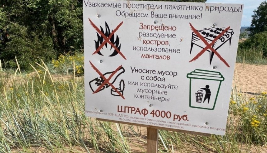 Пожароопасный сезон объявили в Архангельской области с 1 мая