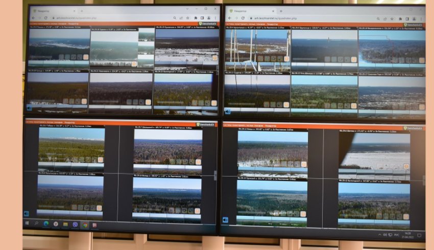 В Поморье заработала система видеомониторинга «Лесохранитель»